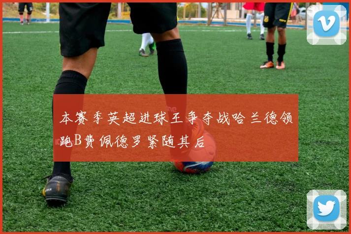 本赛季英超进球王争夺战哈兰德领跑B费佩德罗紧随其后